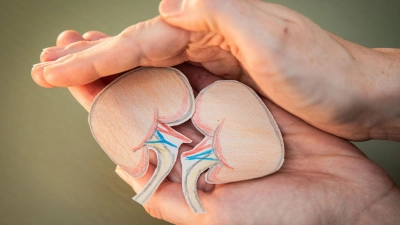 Ich pass' auf euch auf! Mit einem gesunden Lebensstil können wir unsere Nieren schützen.  (Foto: Christin Klose/dpa-tmn)