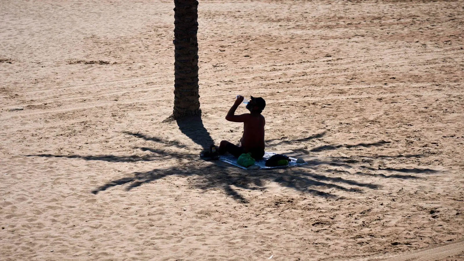 Schattenspiel: Ein Mann nutzt den Schatten einer Palme, während er an einem heißen Tag am Strand von Barcelona Wasser trinkt. (Foto: Emilio Morenatti/AP/dpa)