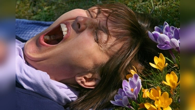 Eine Frau liegt auf einer mit Krokussen bewachsenen Wiese und gähnt. (Archivbild) (Foto: picture alliance / Karl-Josef Hildenbrand/dpa)