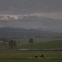 In Bayern gab es Gewitter.  (Foto: Karl-Josef Hildenbrand/dpa)