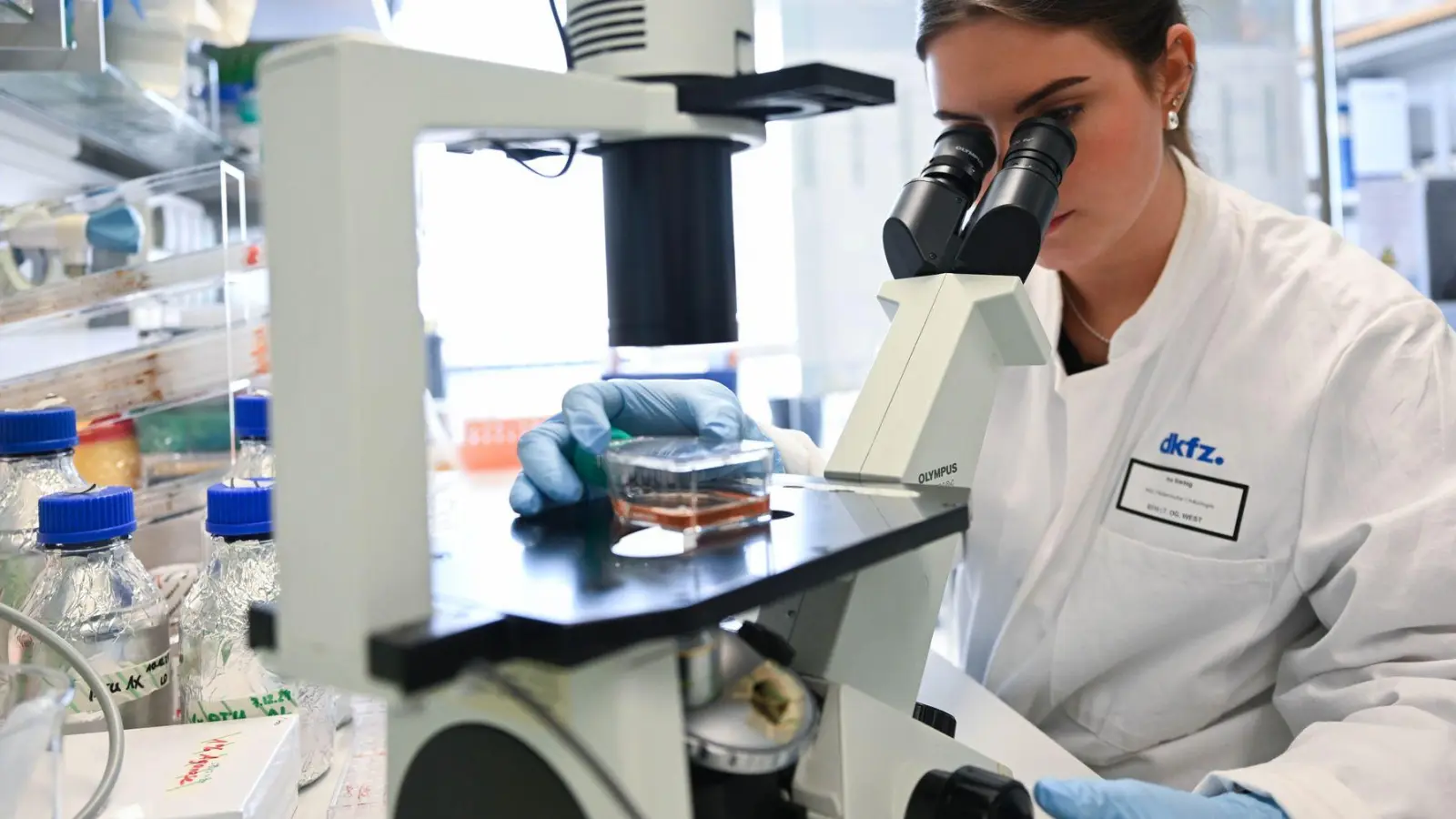Eine Mitarbeiterin des Deutschen Krebsforschungszentrum bearbeitet in einem Labor unter dem Mikroskop eine Probe. (Foto: Bernd Weißbrod/dpa)