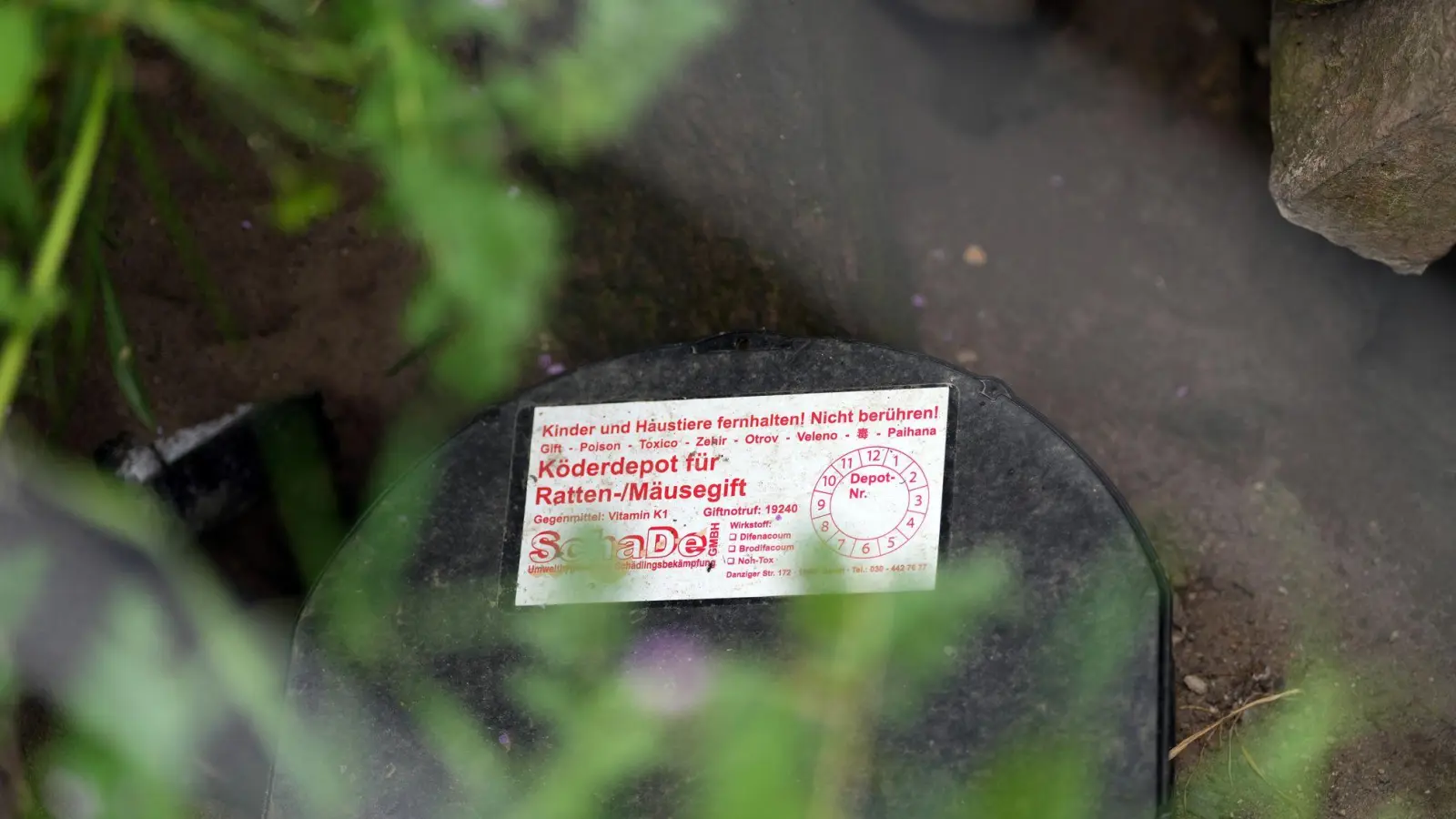 Nach EU-Recht ist Rattengift in Ausnahmefällen für begrenzte Dauer erlaubt (Archivbild). (Foto: Soeren Stache/dpa)