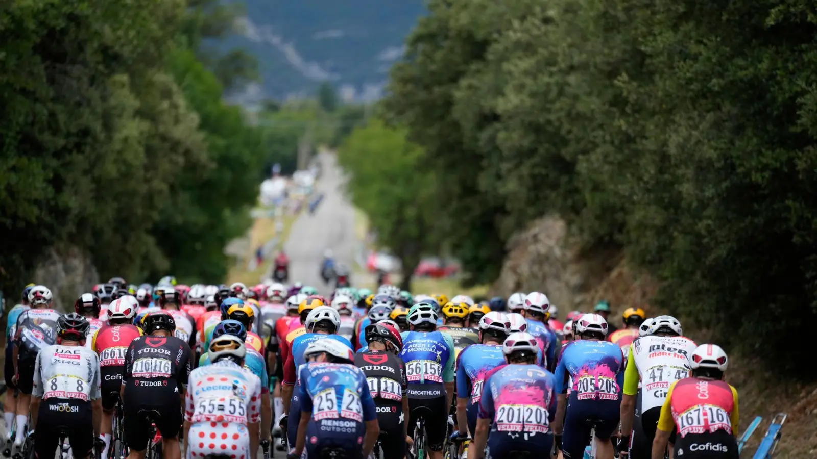 Die Fahrer auf der 17. Etappe der Tour de France auf dem Weg nach Valence.  (Foto: Mosa'ab Elshamy/AP/dpa)