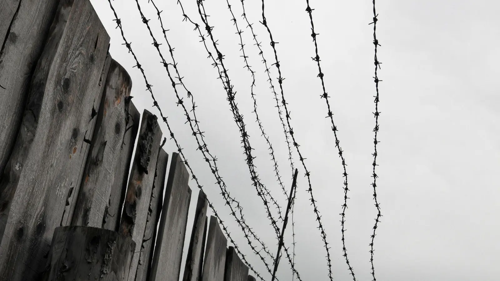 Zwei Jahre Straflager warten auf den 54-jährigen Russen (Symbolbild). (Foto: Matthias Tödt/dpa-Zentralbild/dpa)