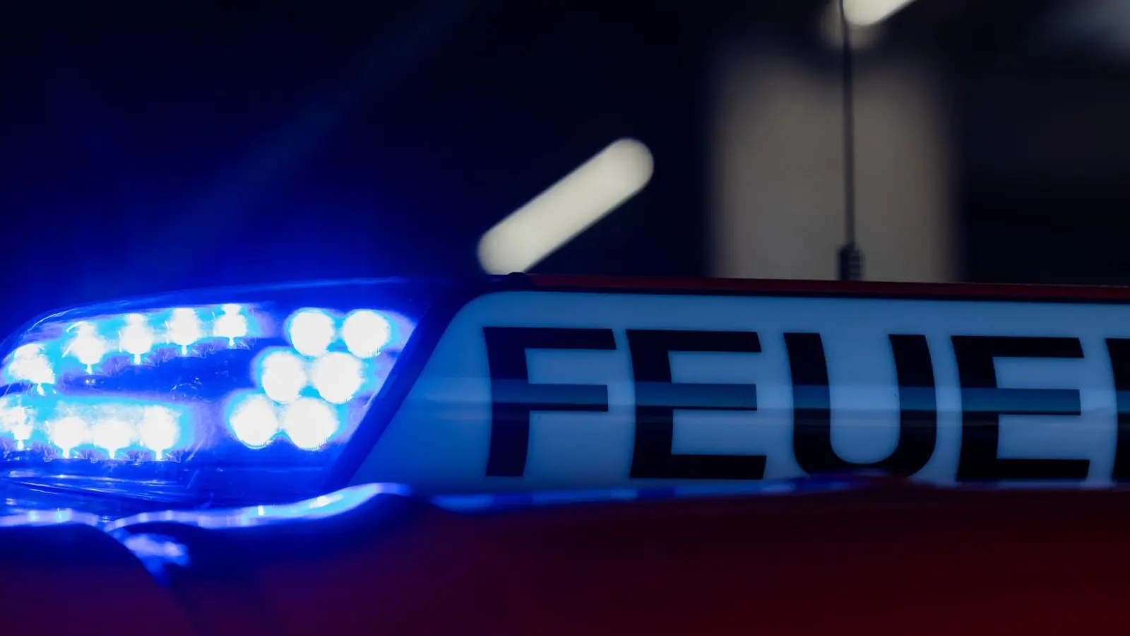 Für den Mann kommt jede Hilfe zu spät: Er wird tot aus dem Haus geborgen. (Symbolbild) (Foto: Rolf Vennenbernd/dpa)