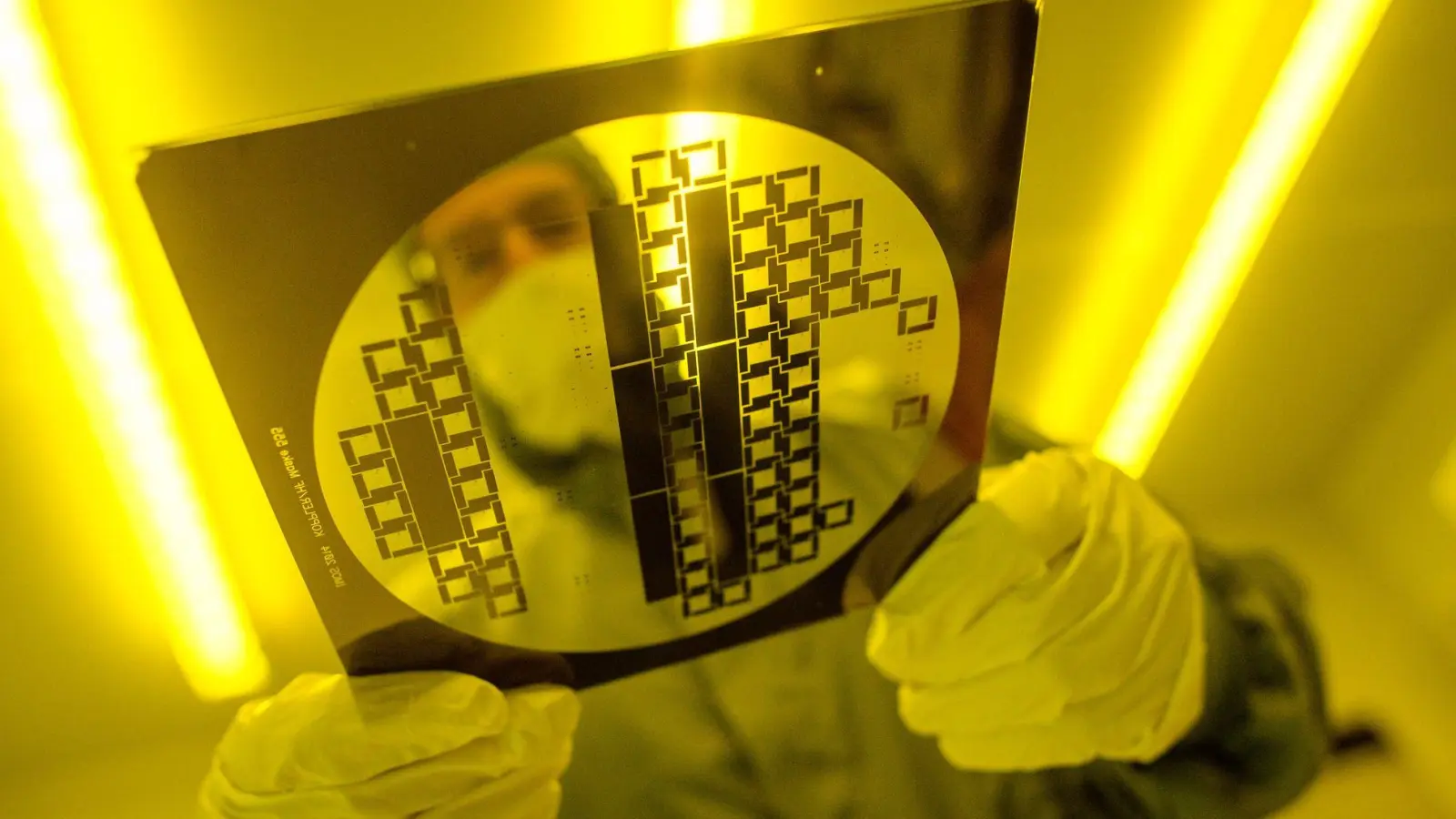 Kommt es nach den auf Eis gelegten Plänen von Intel doch noch zum Bau einer Chip-Fabrik bei Magdeburg? (Archivbild) (Foto: Klaus-Dietmar Gabbert/dpa)