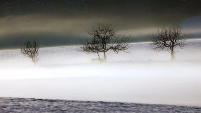 Mild und trüb soll es in Bayern am Wochenende werden. (Symbolbild) (Foto: Karl-Josef Hildenbrand/dpa)