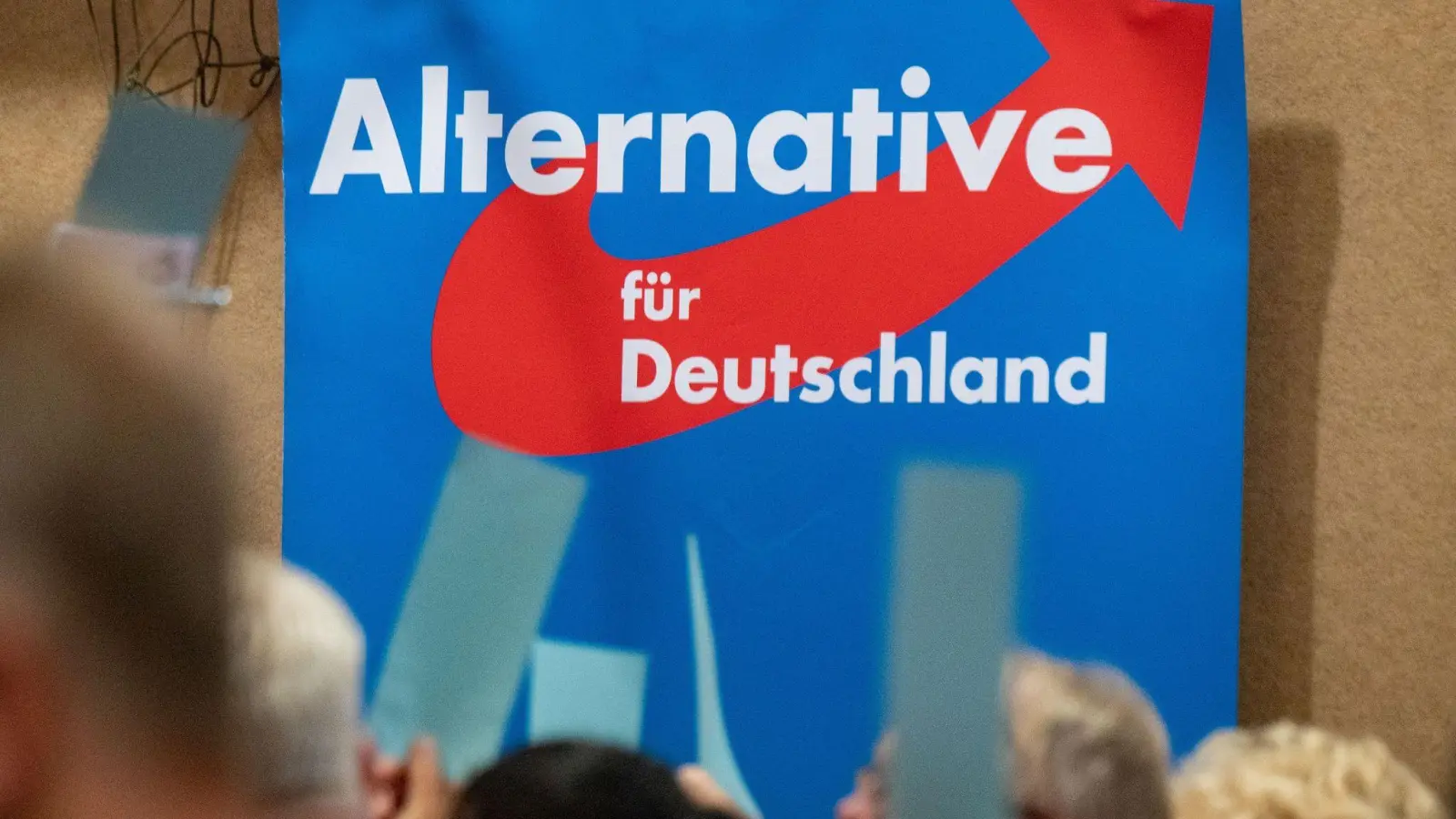 Auf einem AfD-Parteitag hängt ein Plakat mit dem Schriftzug „Alternative für Deutschland“. (Foto: Stefan Sauer/dpa/Archivbild)