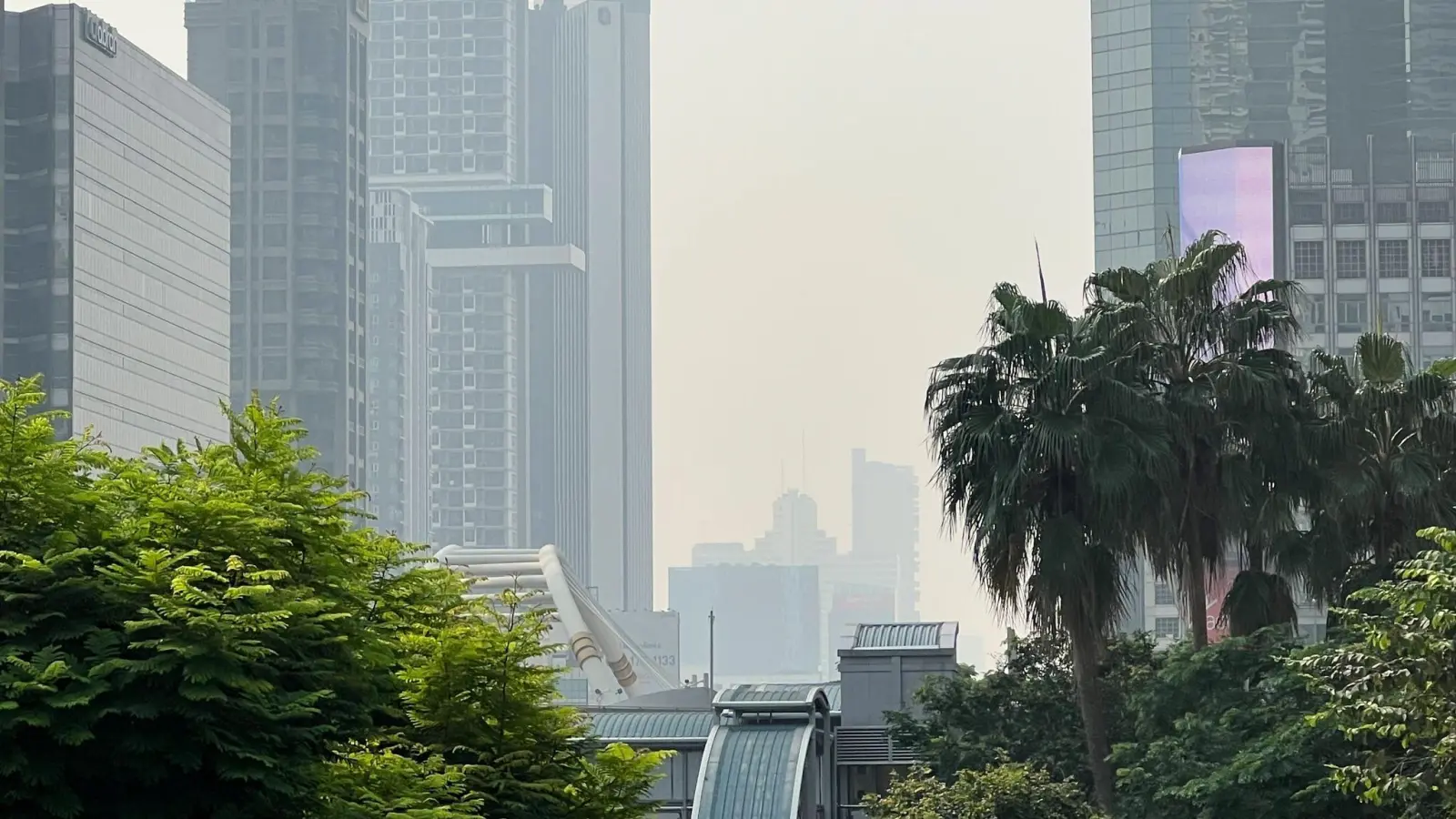 In Bangkok und anderen Teilen Thailands herrschen derzeit hohe Feinstaubwerte. Die Behörden raten den Menschen dringend, sich mit Masken vor der gesundheitsschädlichen Luft zu schützen. (Foto: Carola Frentzen/dpa)