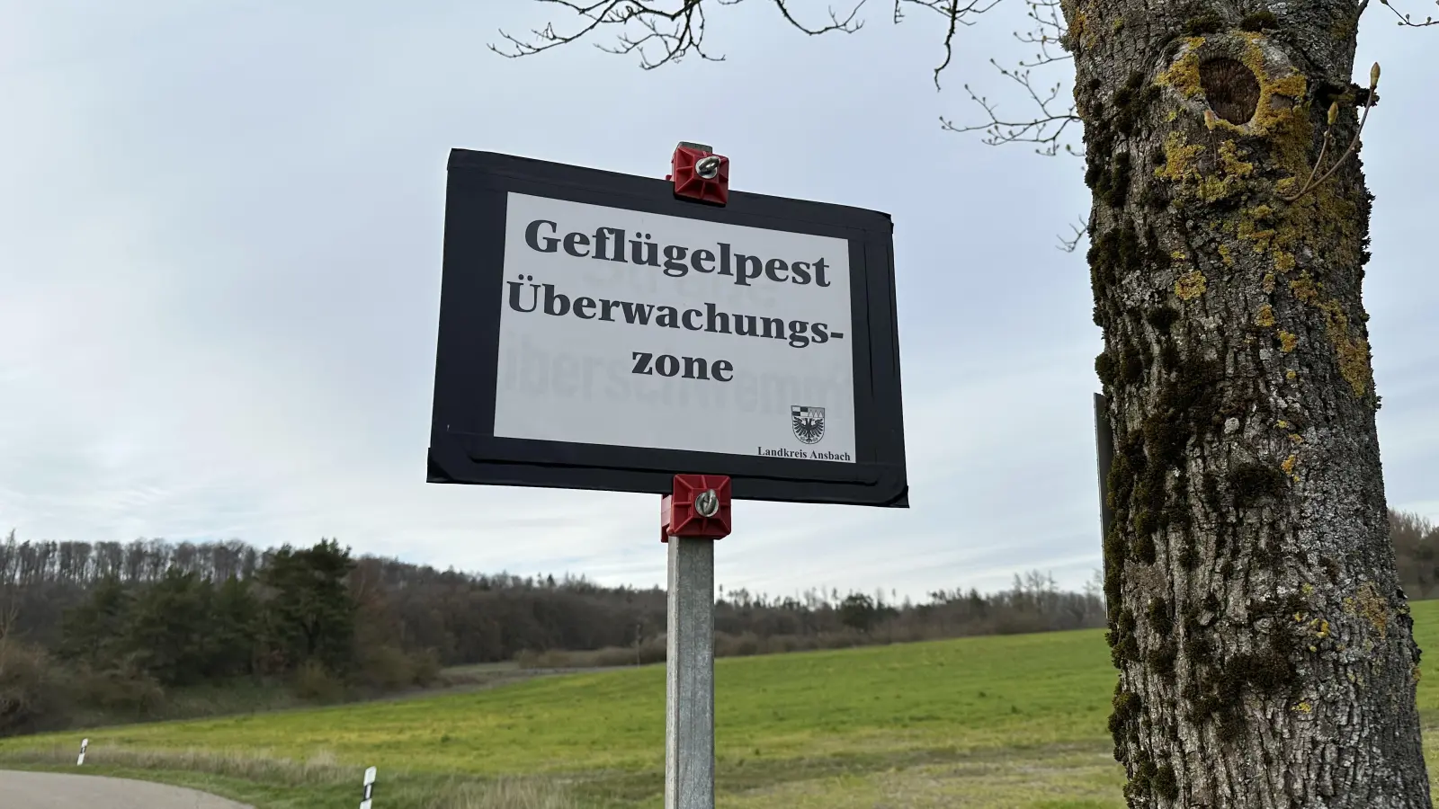 Die Schutzzone um den betroffenen Betrieb bei Leutershausen wird aufgehoben - die Überwachungszone bleibt bestehen. (Foto: Gudrun Bayer)