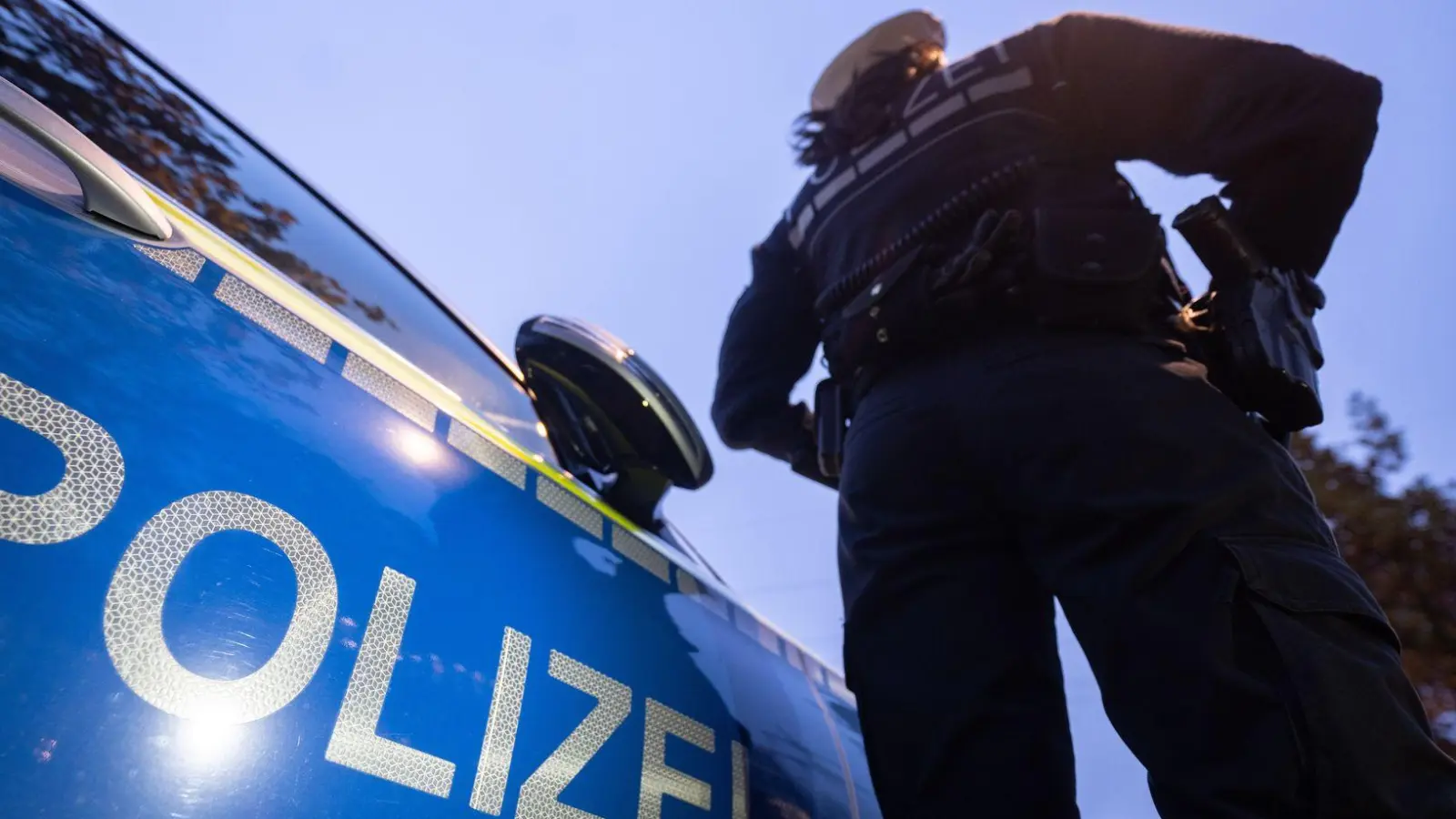 Mit einem Streifenwagen wird die Hundedame in ein Tierheim gebracht. (Symbolbild) (Foto: Marijan Murat/dpa)