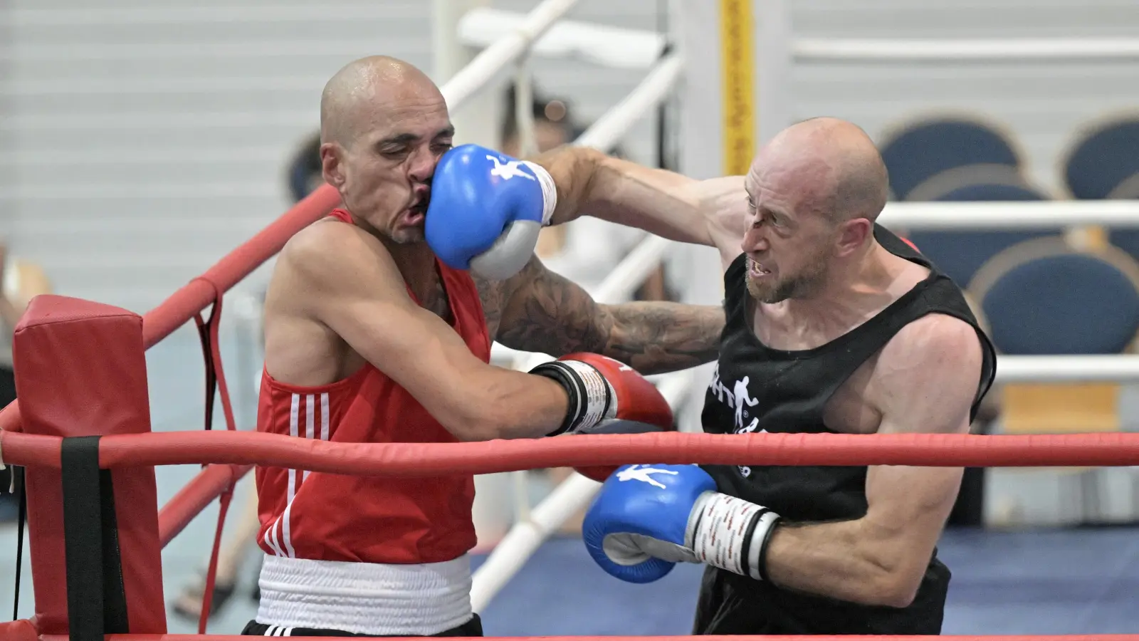Das gibt Punkte: Andrey Hermann versetzt Vitor de Almeida einen Wirkungstreffer. Der Ulmer holte sich den EM-Titel im Mittelgewicht. (Foto: Martin Rügner)