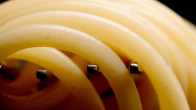 Überraschend: Ausgerechnet bei Produkten aus der Bio-Abteilung fanden sich im  Spaghetti-Check der „Öko-Test“ Ausreißer. (zu dpa: „Spaghetti im Öko-Test: Zwei Bio-Produkte rasseln durch“) (Foto: Franziska Gabbert/dpa-tmn/dpa)