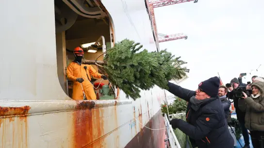 Eine Sponsorin wirft einen Weihnachtsbaum zu zwei Seeleuten in die Luke eines Containerschiffes im Hamburger Hafen. (Foto: Christian Charisius/dpa)