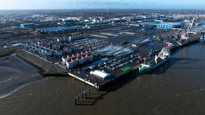 Im Hafen von Cuxhaven wurde ein toter Zwergwal entdeckt. (Symbolfoto) (Foto: Philipp Schulze/dpa)