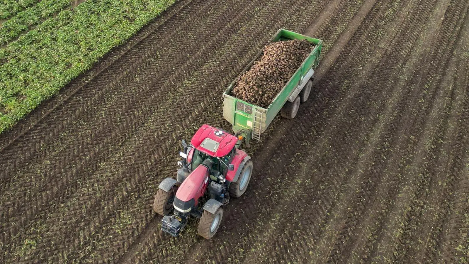 Reiche Ernte: Doch überladen auf der Straße fahren ist auch solchen Gefährten nicht erlaubt. (Foto: Jan Woitas/dpa/dpa-tmn)