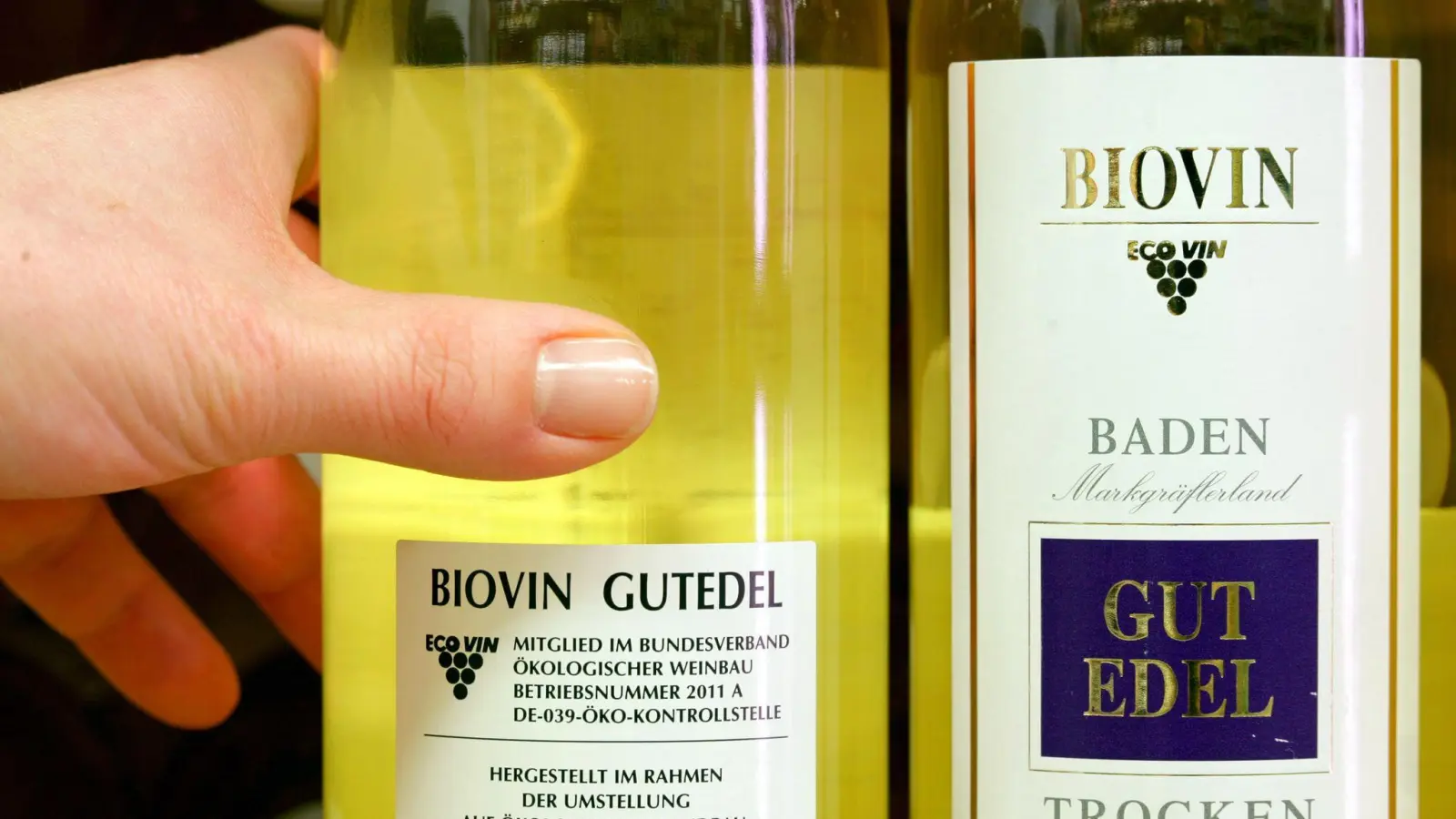 Die Weißwein-Marke „Biovin“ trägt das Siegel des Bundesverbandes Ökologischer Weinbau e.V., kurz „Ecovin“. (Foto: picture alliance / dpa)