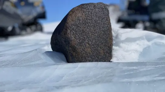Forschende aus Belgien haben einen 7,6 Kilogramm schwerer Meteoriten in der Antarktis entdeckt. (Foto: Maria Valdes/Vinciane Debaille/dpa)