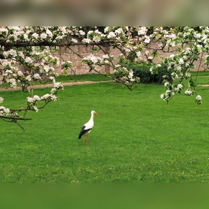 Landung im Hornburgweg - gesehen in Rothenburg. (Foto: Klaus Zerkowski)