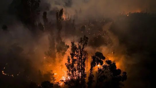 Tote, Vermisste und zahlreiche Verletzte - die Flammen im Süden Chiles sind nicht zu bändigen. (Foto: Matias Delacroix/AP/dpa)