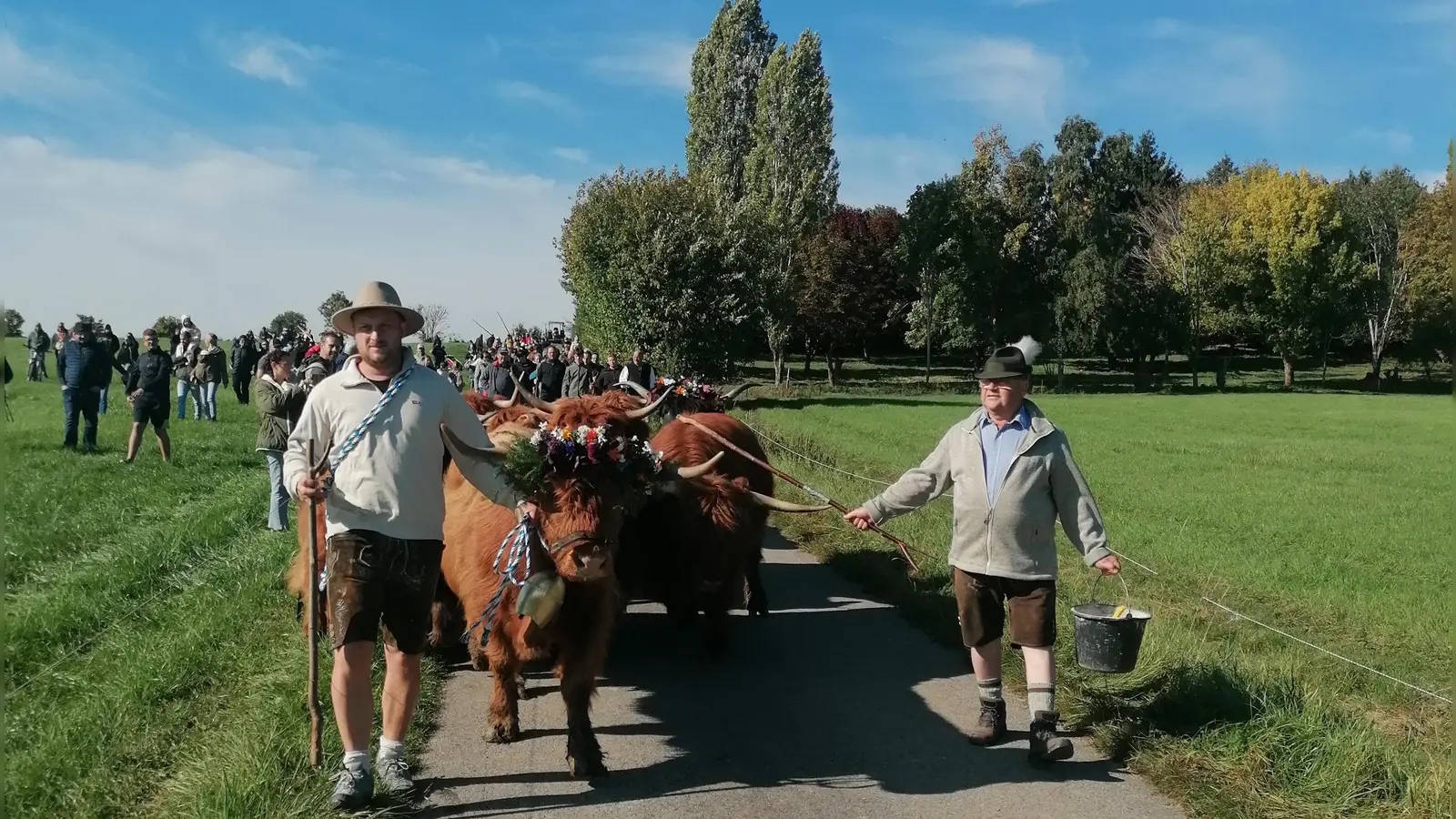 Vater (rechts) und Sohn Karlheinz Heß mit der geschmückten Lotte beim Almabtrieb auf dem Weg von der Sommer- zur Winterweide. Das Spektakel bei Röckingen zieht jedes Jahr hunderte Schaulustige an. (Foto: Friedrich Zinnecker)