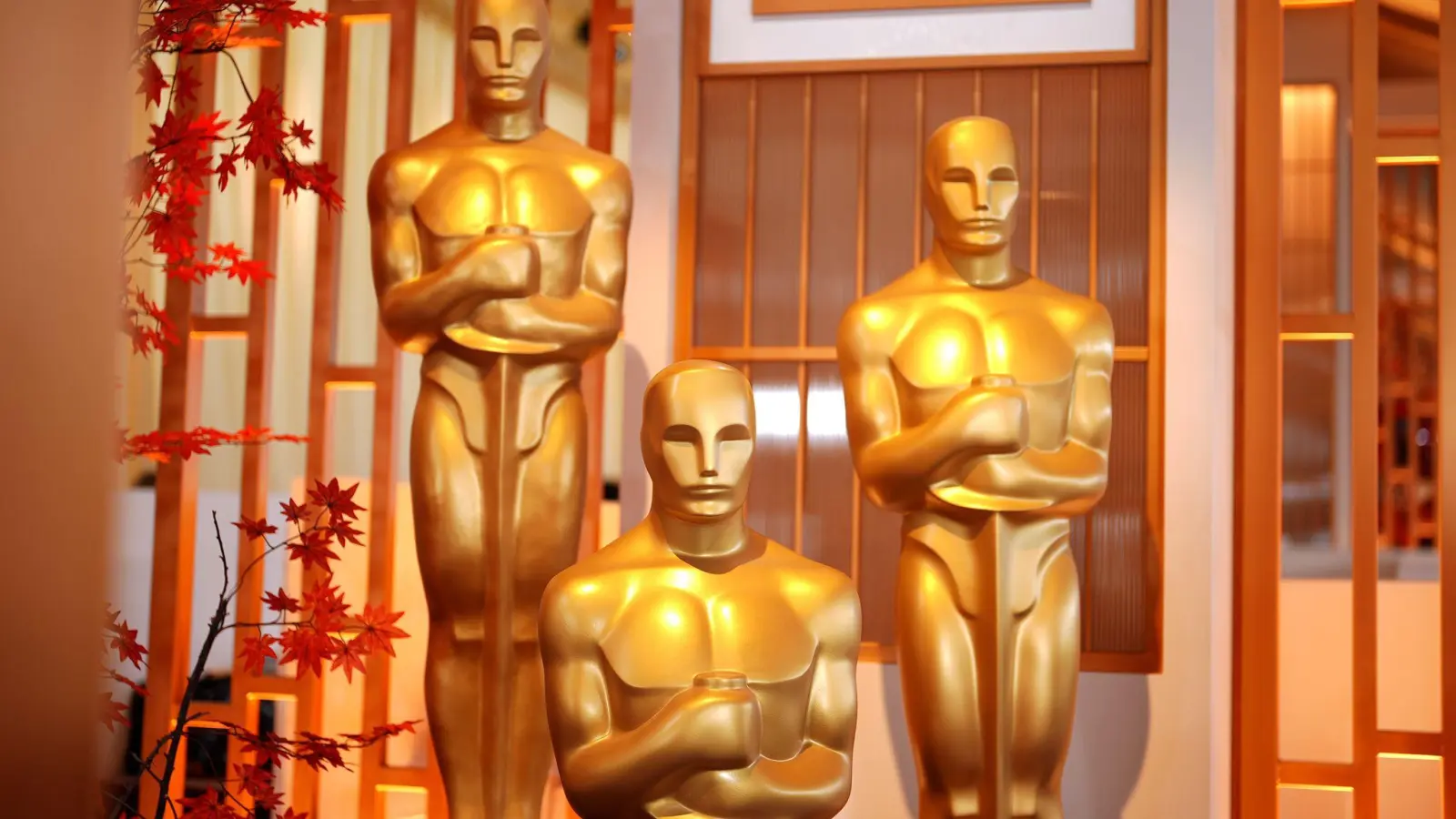 Die wichtigste Kategorie der Oscars heißt im Original „Best Picture“. (Foto: Richard Shotwell/Invision/AP/dpa)