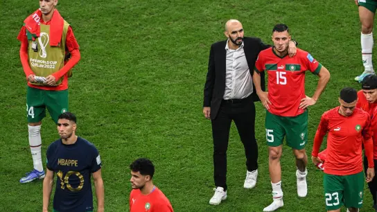 Marokkos Trainer Walid Regragui und Spieler nach dem Abpfiff. (Foto: Robert Michael/dpa)