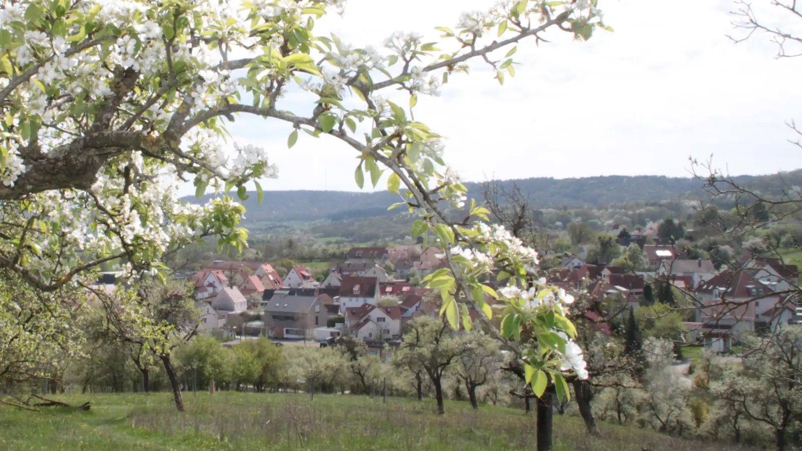 Tauchen Sie ein in eine Welt zwischen Genuss und Naturerleben mitten in der idyllischen Frankenhöhe. (Foto: Hans-Bernd Glanz)