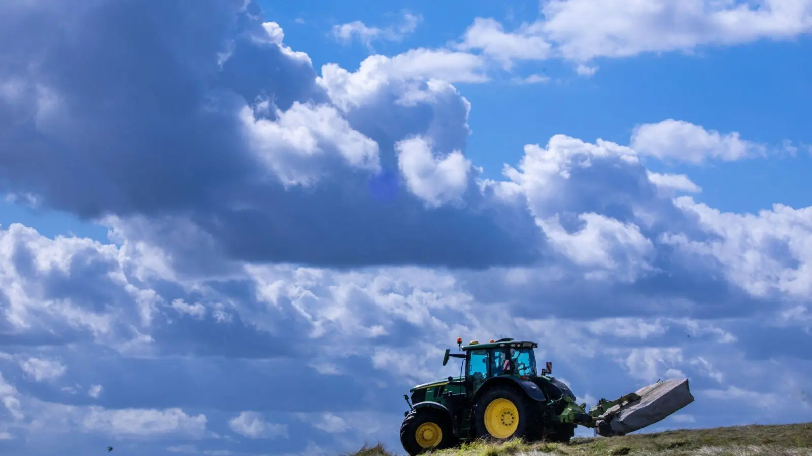 Es lohnt sich oft nicht: Die Produktionskosten für Agrarprodukte liegen teils über den Verkaufspreisen. (Archivbild) (Foto: Jens Büttner/dpa)