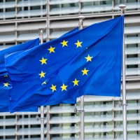 Die EU will Bürokratie abbauen. Aus der Sicht von Umweltschützern drohen dadurch aber massive Nachteile. (Symbolbild)  (Foto: Michael Kappeler/dpa)