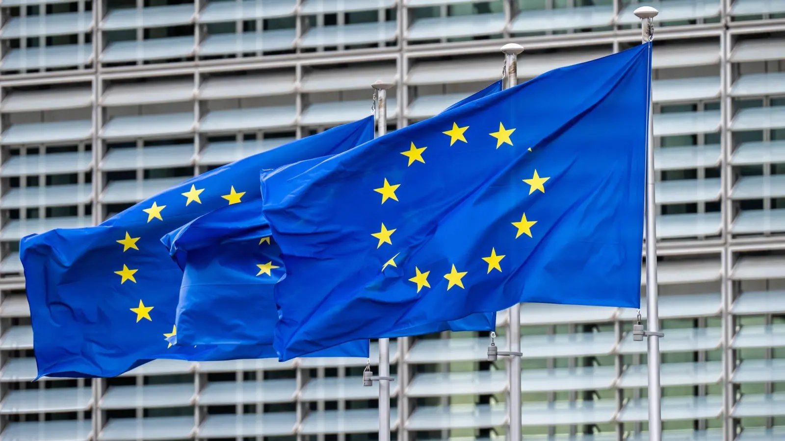 Die EU will Bürokratie abbauen. Aus der Sicht von Umweltschützern drohen dadurch aber massive Nachteile. (Symbolbild)  (Foto: Michael Kappeler/dpa)