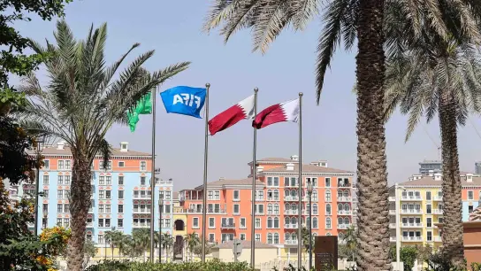 Flaggen in den Farben Katars und eine Fifa-Flagge wehen unter Palmen. (Foto: Christian Charisius/dpa)