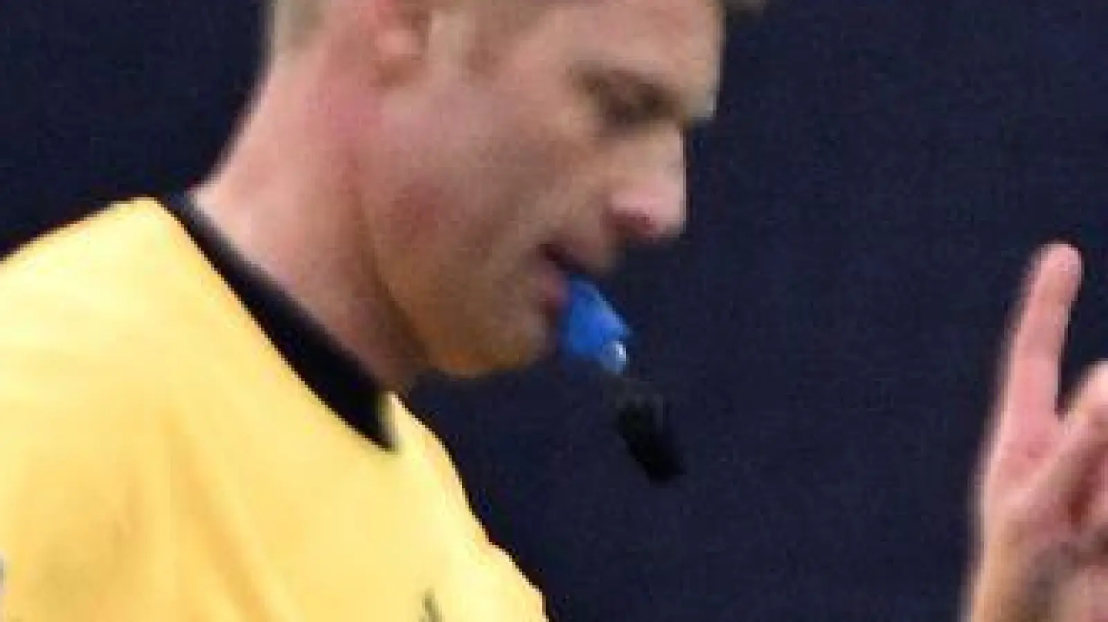 Erhielt viel Kritik vom FC Bayern: Schiedsrichter Christian Dingert. (Foto: Federico Gambarini/dpa)