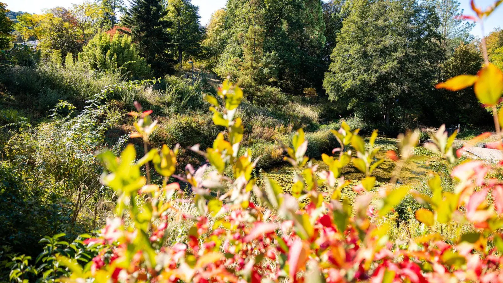 Im Süden Deutschlands werden Höchstwerte um die 23 Grad erwartet.  (Foto: Laszlo Pinter/dpa)