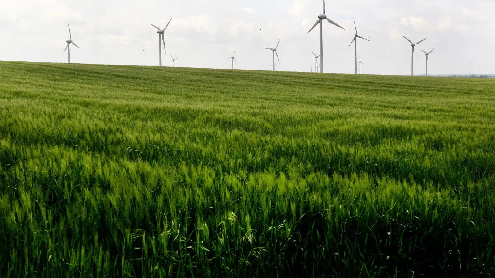 Die Windkraftanlagen am Oermter Berg in NRW produzieren nachhaltigen Öko-Strom. Die EU-Kommission will mehr Geld in „grüne“ Anlagen lenken. (Foto: Roland Weihrauch/dpa)