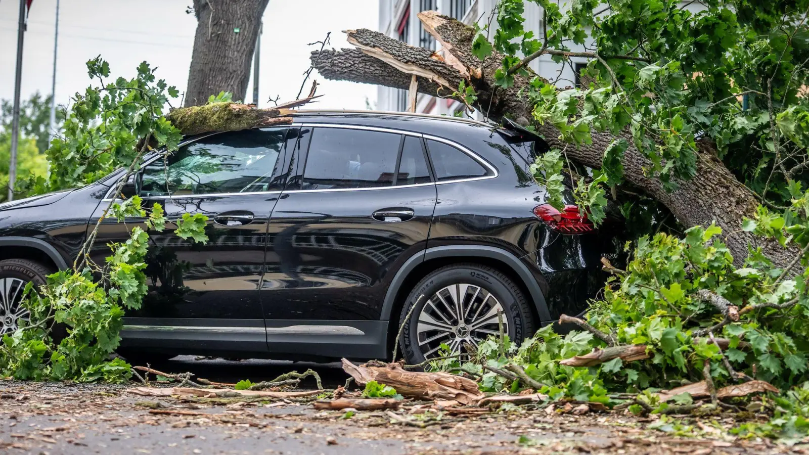 In Berlin führte jüngst ein Sturm zu zahlreichen Schäden. Eine Frau starb. (Foto: Michael Kappeler/dpa)