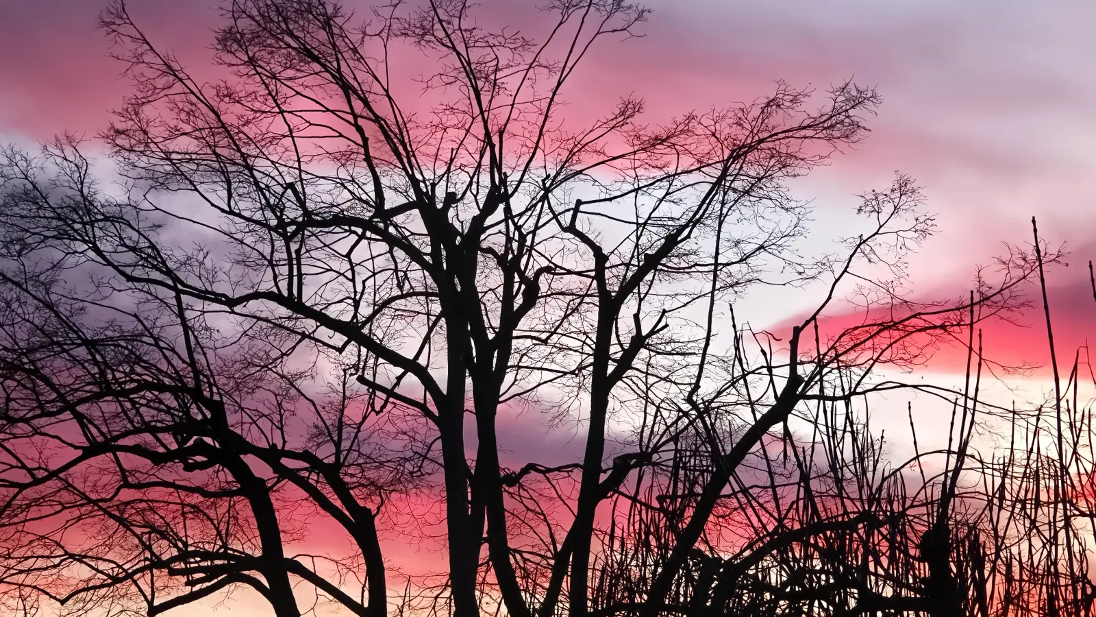 Farbenspiel - gesehen in Ottenhofen (Foto: Anita Kuboth)