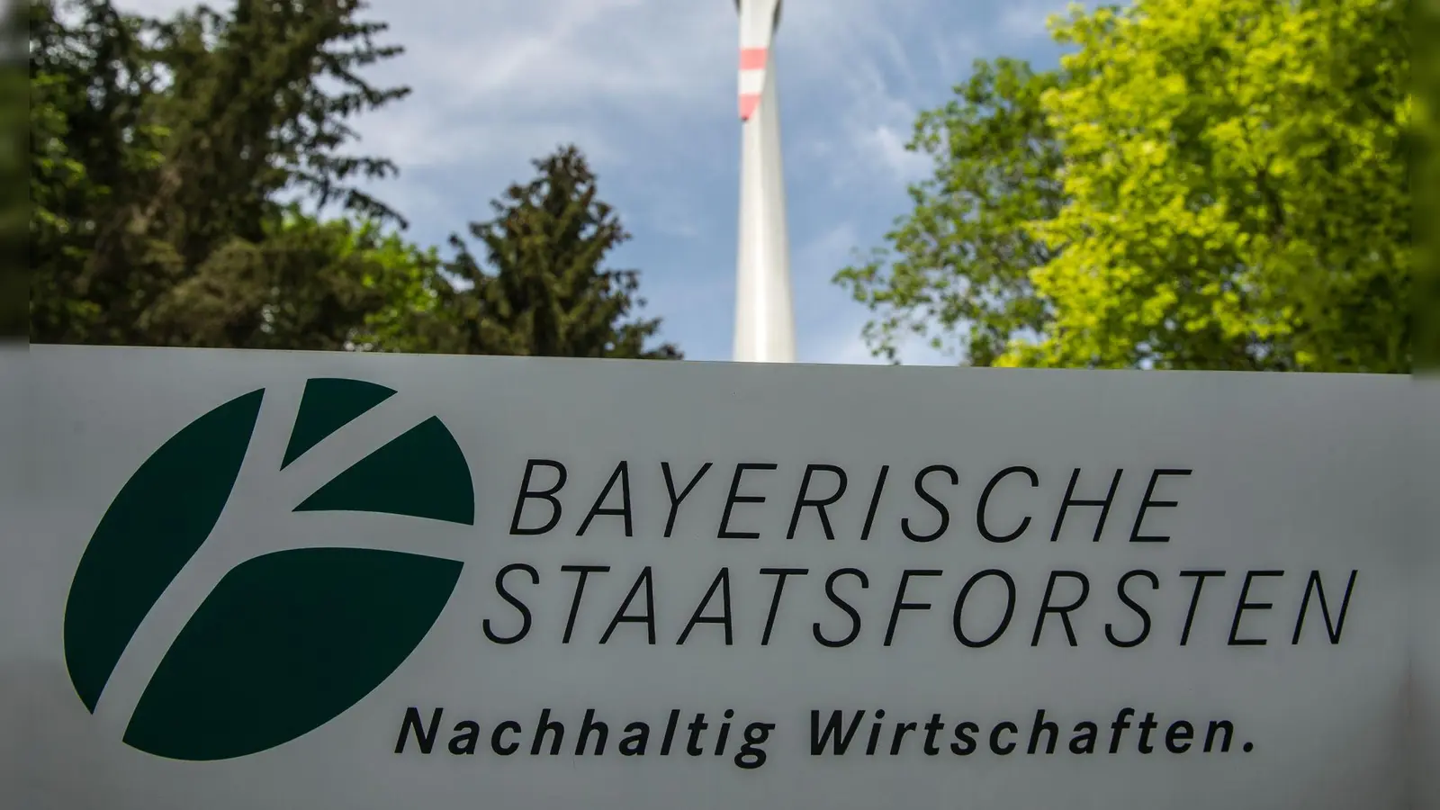 Die bayerischen Staatsforsten sind ein einträgliches Geschäft für den Freistaat (Archivbild).  (Foto: Armin Weigel/dpa)