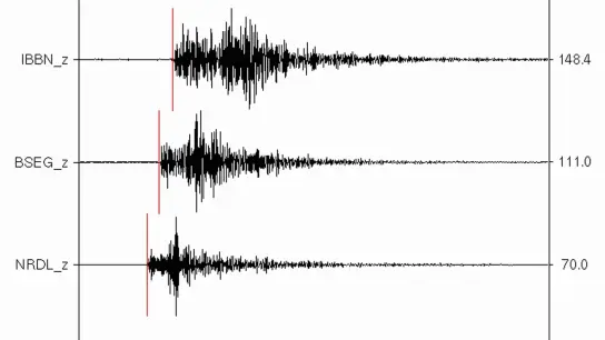 Ausschläge auf einem Seismographen: In Ecuador bebte die Erde. (Symbolbild) (Foto: DB BGR/dpa)