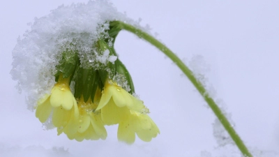 Die Osterferien beginnen mit ungemütlichem Wetter. (Archivbild) (Foto: Karl-Josef Hildenbrand/dpa)
