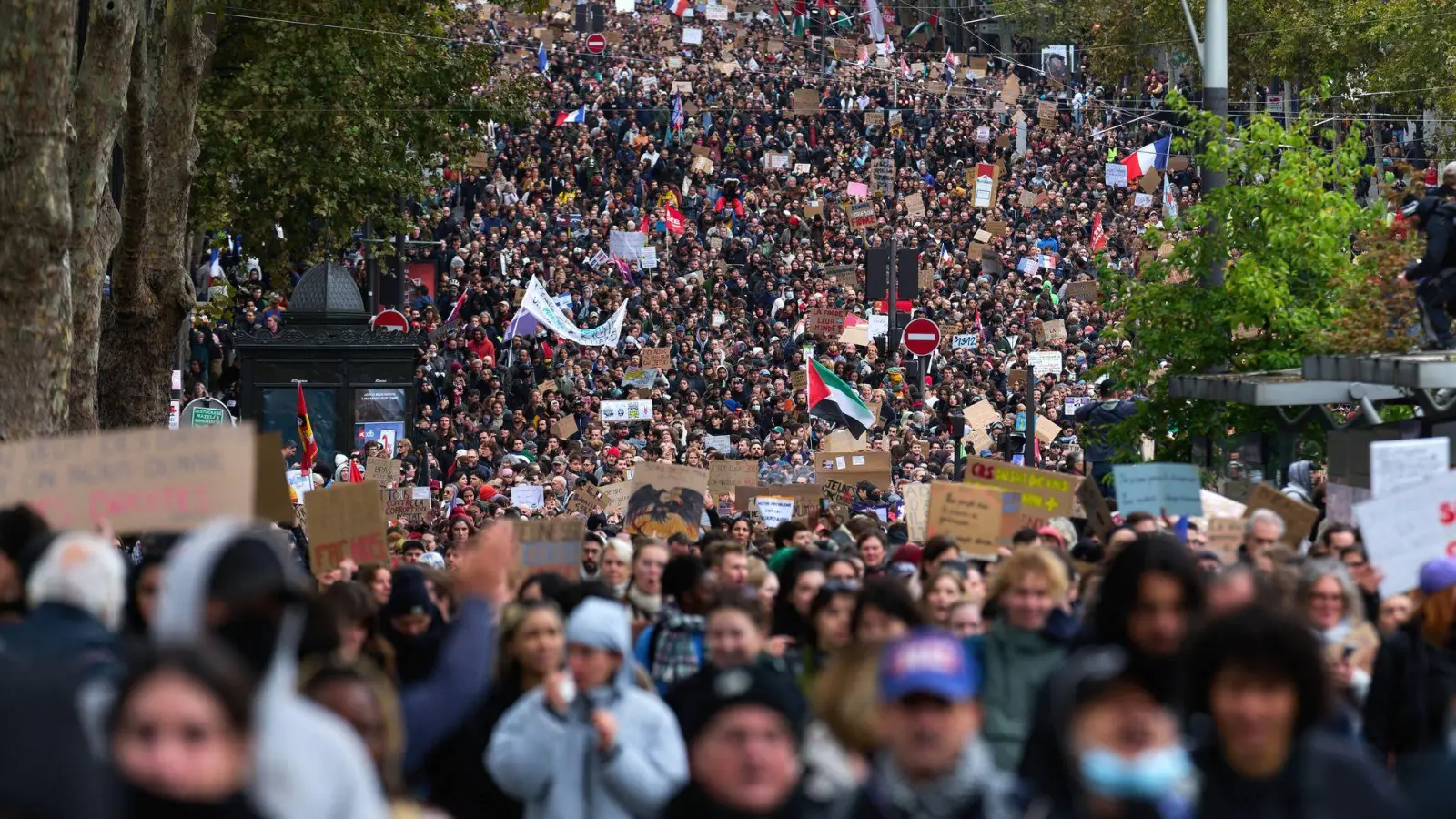 Die Proteste in Paris begannen friedlich.  (Foto: Marcus Golejewski/dpa)