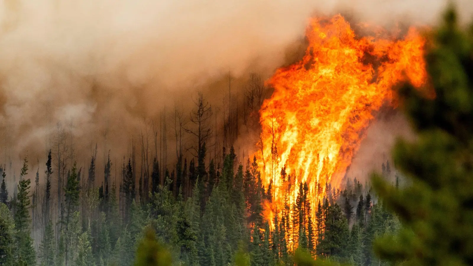 Ein Waldbrand wütet nahe Fort St. John in der kanadischen Provinz British Columbia. (Foto: Noah Berger/AP/dpa)