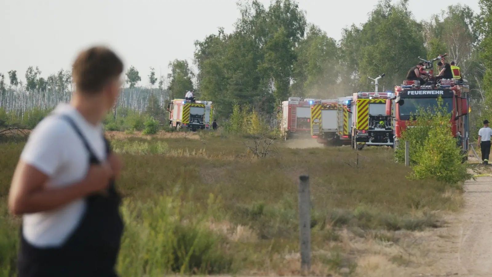 Die Feuerwehr kämpft gegen den Waldbrand. (Foto: Sebastian Willnow/dpa)