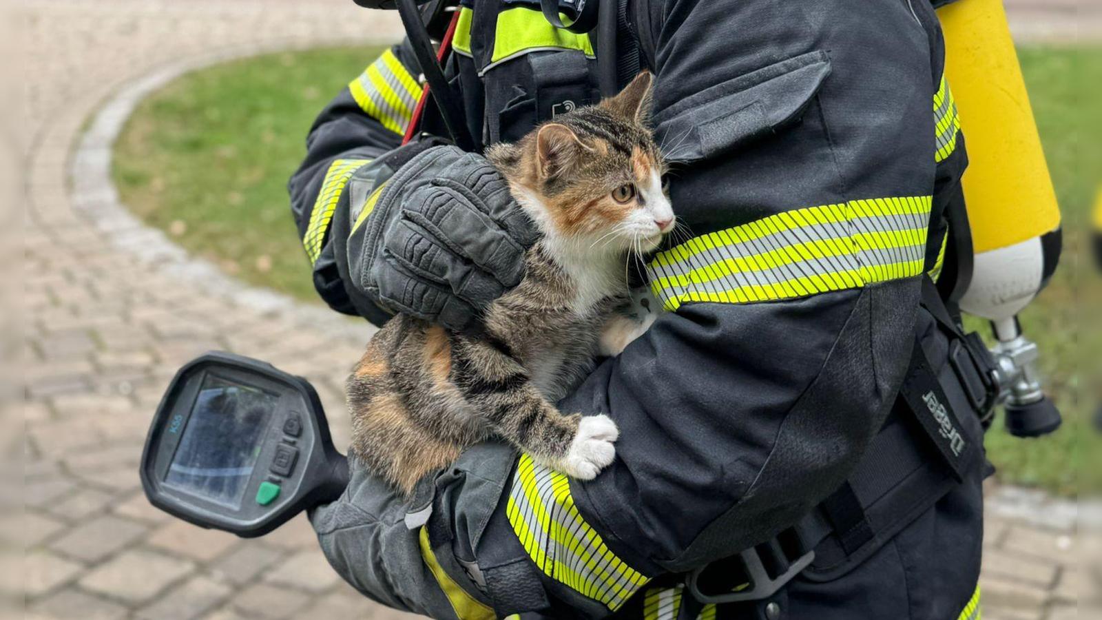Brand nach Kurzschluss in Ergersheim: Feuerwehr rettet Katze