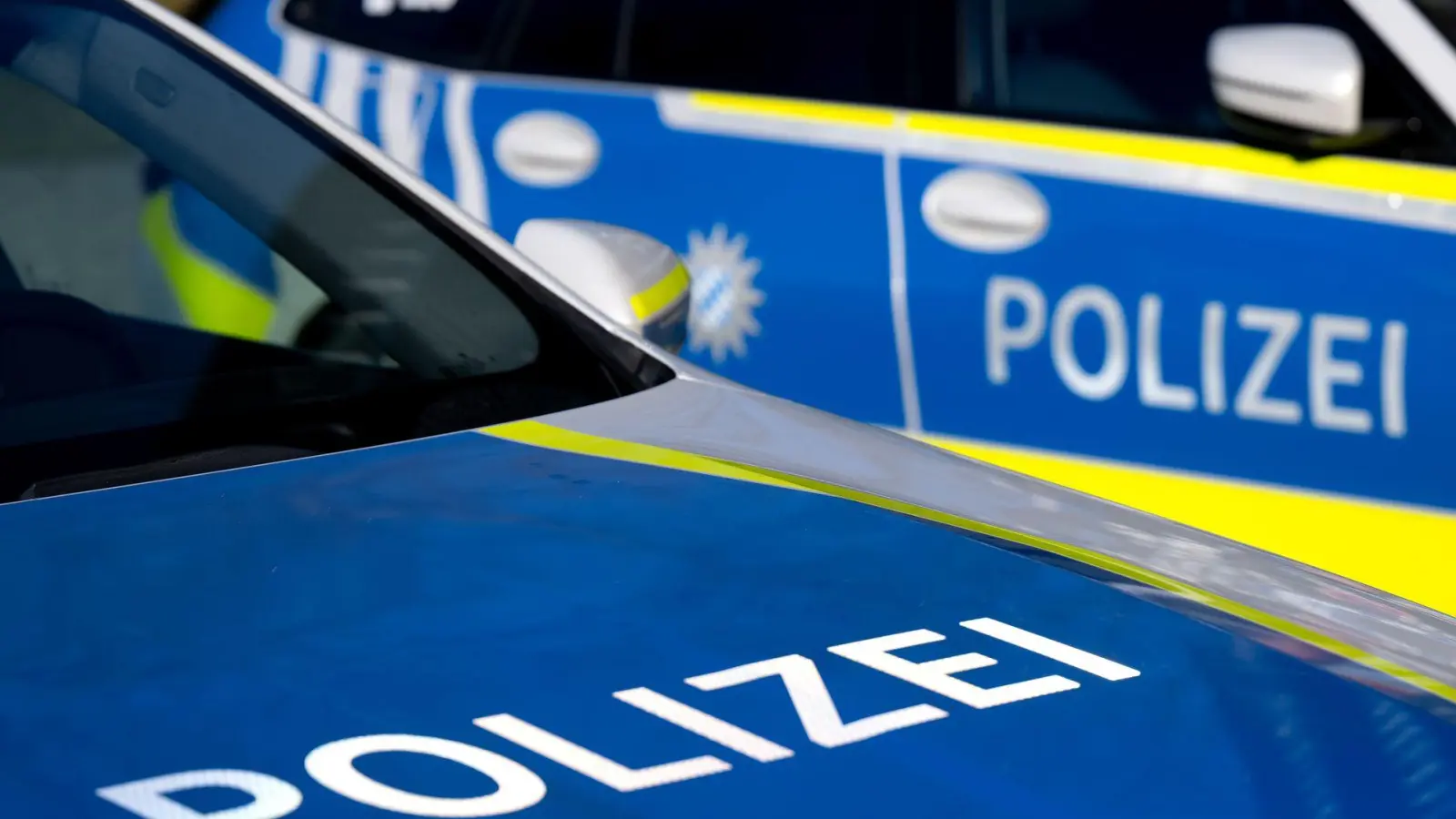 Ein Passant fand die Leiche des Mannes in einem Waldstück. (Symbolbild) (Foto: Sven Hoppe/dpa)