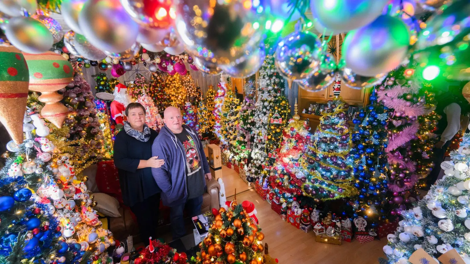 Mehr Weihnachten geht kaum: Susanne und Thomas Jeromin stehen inmitten von Weihnachtsbäumen im Wohnzimmer ihres Hauses. (Foto: Julian Stratenschulte/dpa)