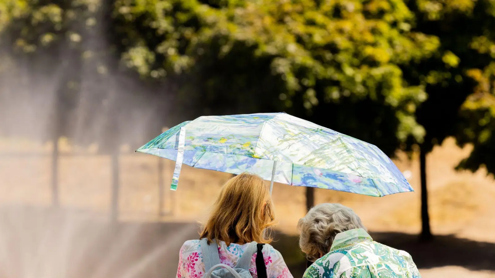 Aufmerksamkeit ist wichtig: Ältere und pflegebedürftige Menschen sind bei Hitze besonders gefährdet. (Foto: Rolf Vennenbernd/dpa/dpa-tmn)