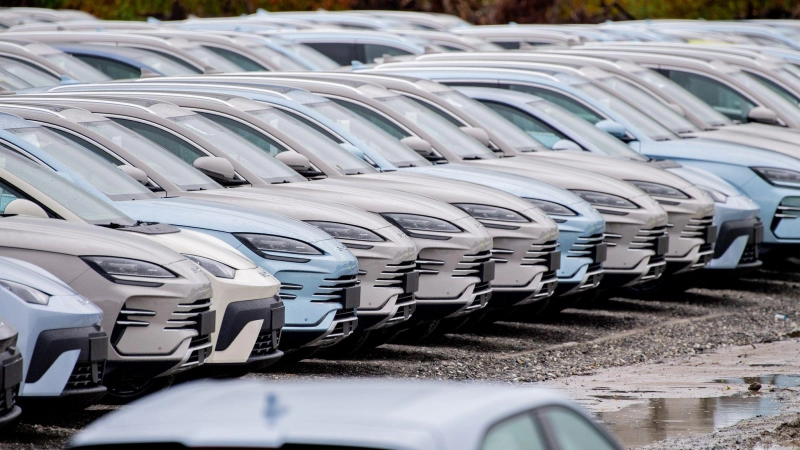 Elektroautos von BYD. Die chinesische Autoindustrie setzt der europäischen Industrie mit ihrer Exportoffensive zu. (Symbolbild) (Foto: Hauke-Christian Dittrich/dpa)