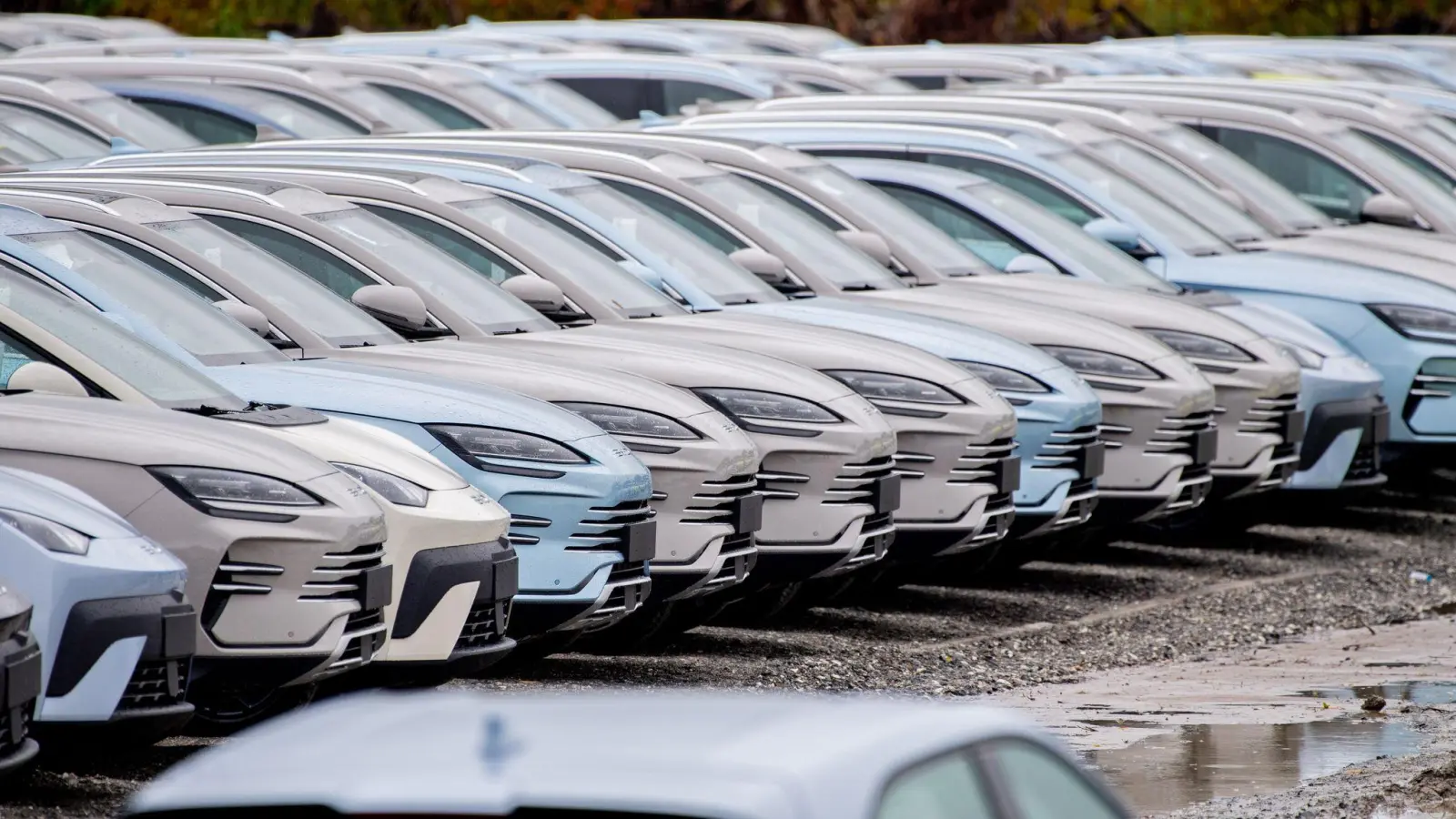 Elektroautos von BYD. Die chinesische Autoindustrie setzt der europäischen Industrie mit ihrer Exportoffensive zu. (Symbolbild) (Foto: Hauke-Christian Dittrich/dpa)
