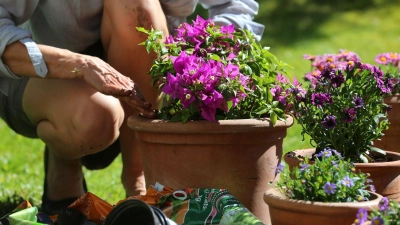 Wie und womit wir gärtnern, kann für das Klima einen Unterschied machen.  (Foto: Karl-Josef Hildenbrand/dpa-tmn)